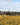 Burgundy 2024 En Primeur