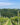 Doppler Winery