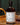 Tanners Own Label Spirits: Premium Gin and Whisky Selection
