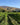 New Zealand En Primeur