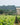 Château Courac