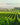 Award Winning Wines