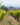 Bodegas Vega Sicilia