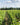 Buisson-Charles