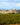 LGI Wines