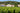 Photo of the winery building and surrounding vineyard of Domaine Pey Blanc