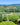 Sesti - Castello di Argiano