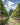 Ashling Park Estate