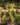 Tanners Wines Ltd.