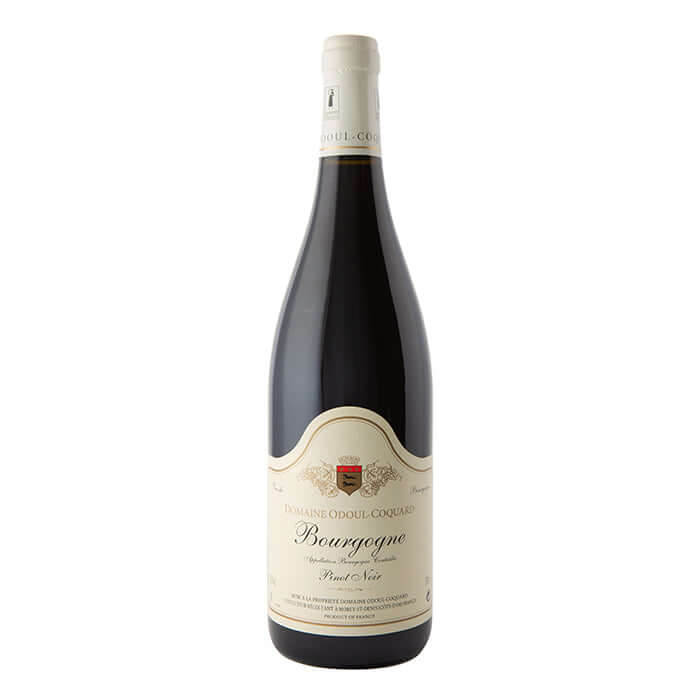 Bourgogne Côte d'Or, Pinot Noir, Odoul-Coquard 2023 | Tanners Wines Ltd
