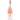 Replenishment Rosé Half Dozen