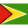 Flag of Guyana