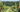 Sustainability in Wine Production