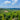 Italy En Primeur