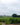 Beaujolais.