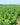 Domaine Fief de la Brie