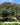 Domaine du Cayron