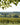 French Wines