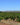 Shiraz/Syrah