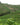 Rhône 2023 En Primeur
