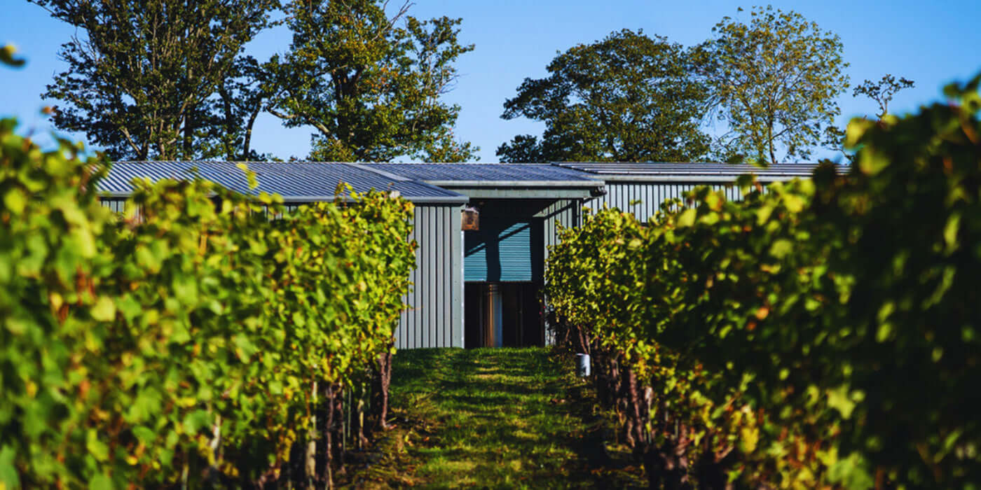 Ridgeview Cavendish, English Sparkling Wine Tanners Wines Ltd