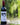 View All Wines.