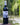 Red Wines.