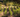 Tanners Wines Ltd.