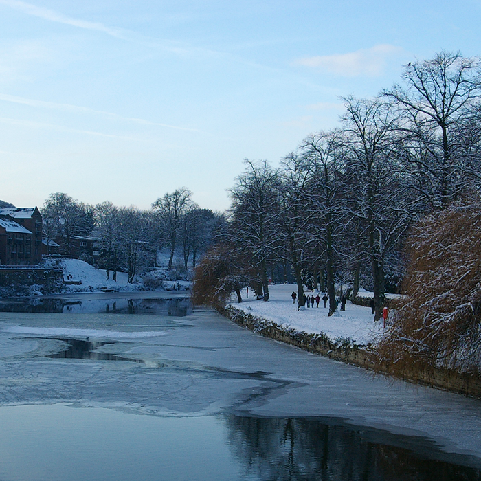 A Taste of Winter, Burns Night with Phoebe Jarvis, Head Gardener at Linley Hall