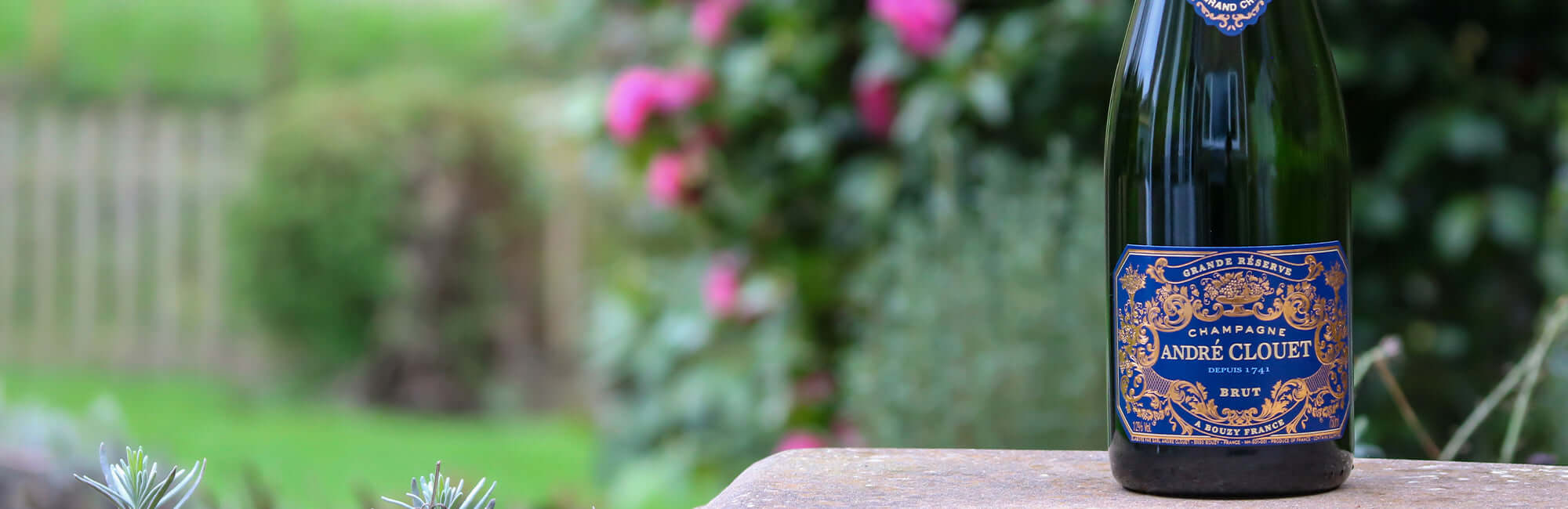 Tanners Wine Merchants Buy Wine Online