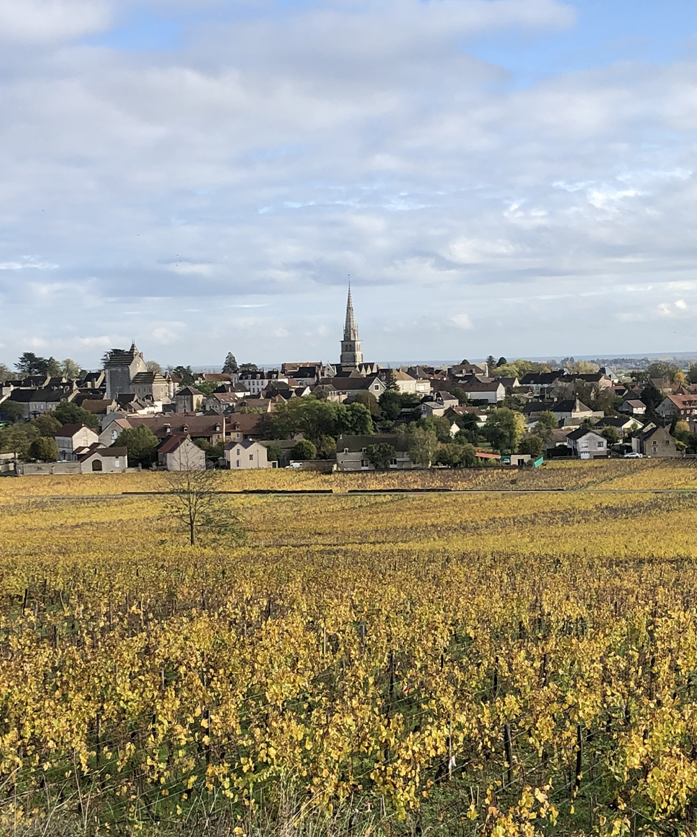 Village with a church spire viewed from a field of yellow flowers under a blue sky with clouds.