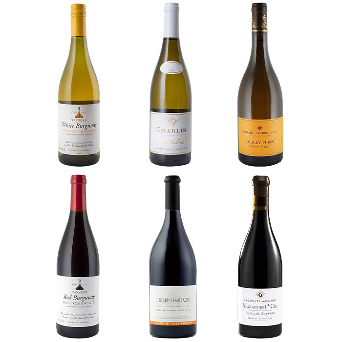 Six wine bottles arranged in a 2x3 grid on a plain white background, including white Burgundy, Chablis, Pinot Noir, Red Burgundy, Chardonnay Blanc, and Maconade reds from the same brand.