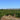 A Spotlight on: Syrah