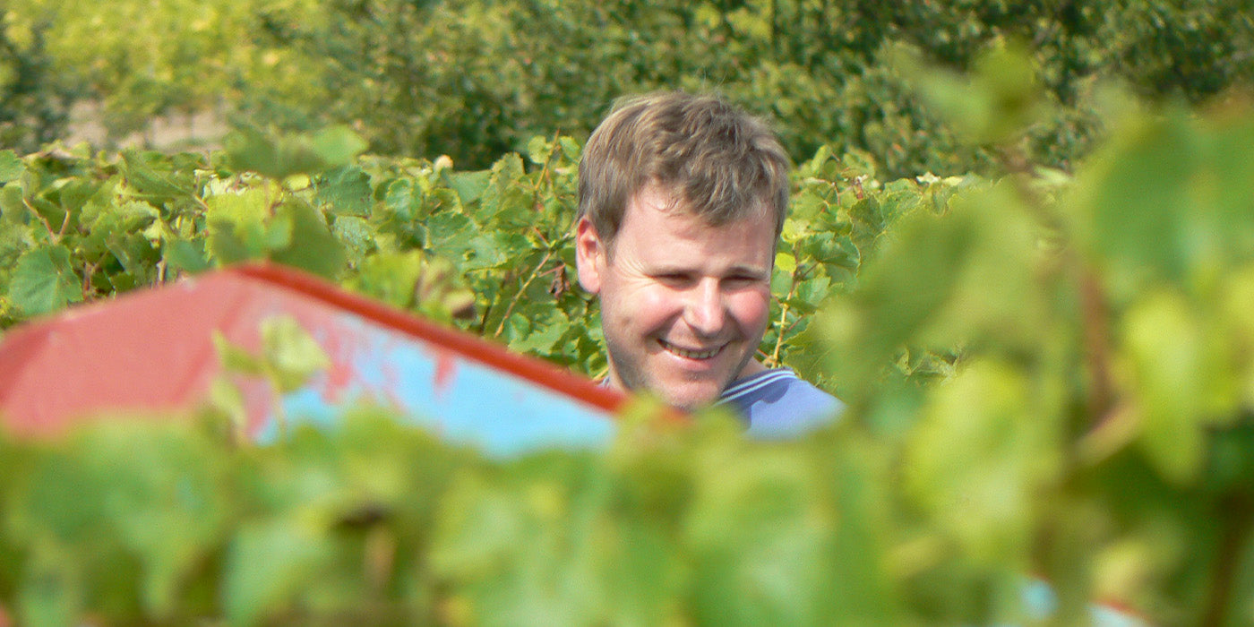 Coteaux du Layon 1er cru Chaume, Les Onnis, Domaine des Forges 2021 ...
