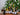 Assorted wine bottles on a table with a decorated Christmas tree in the background