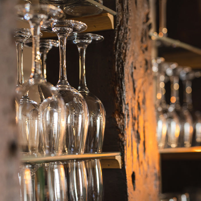 Uncorking the Basics at A Taste of Tanners: Food & Wine Pairing