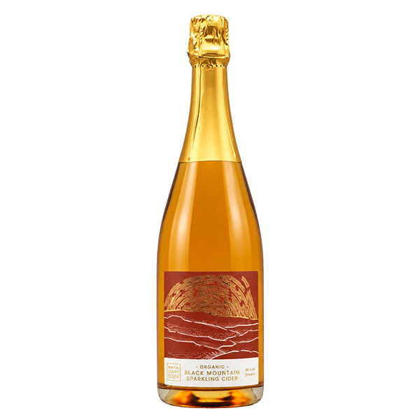 Newton Court Black Mountain Cider - 750ml