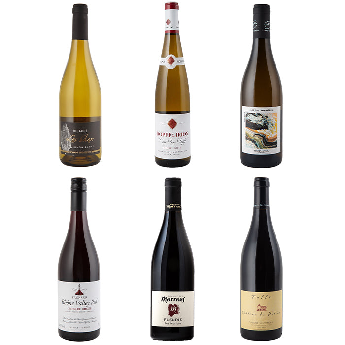 Six wine bottles arranged in a 2x3 grid on a plain white background, including labels such as Tignanello, Ruffo d'Inni, and Mattani F. D'Agostino.