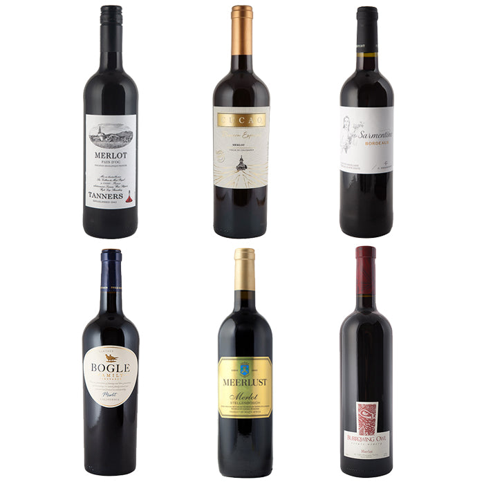 Taste the Grape Merlot - Half Dozen