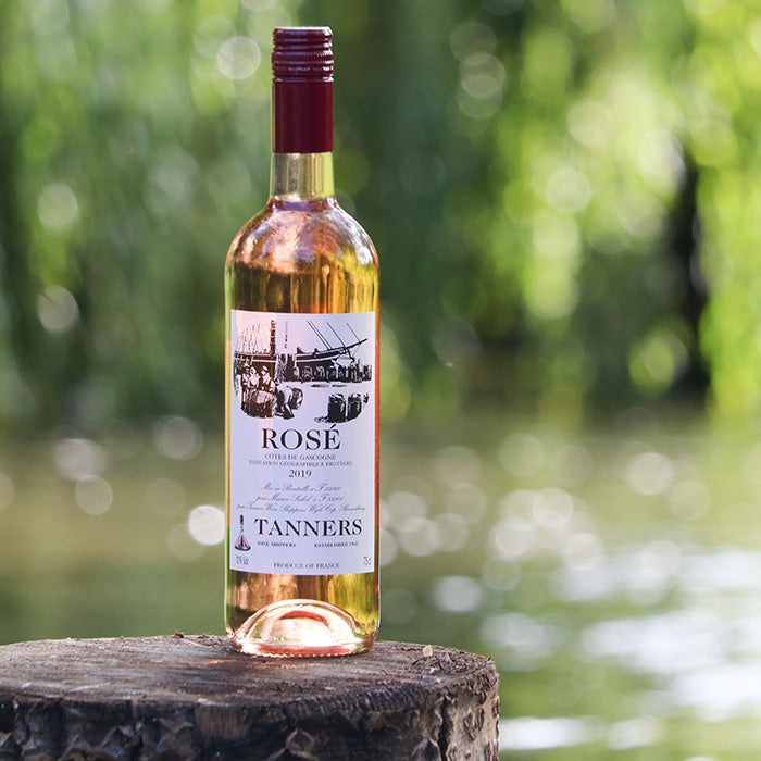Uncorking the Basics: Rosé